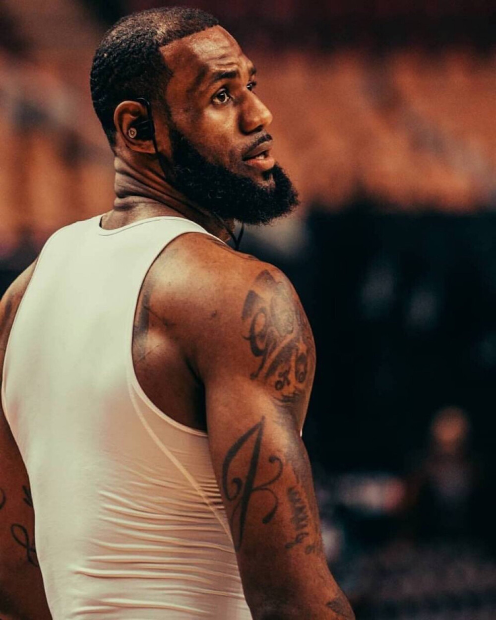 的养成拉动 的养成拉动